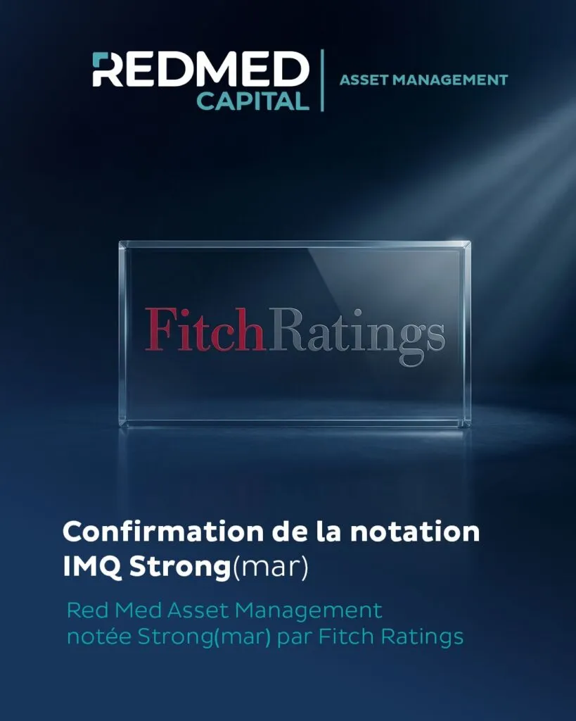 Fitch Ratings IMQ Strong visual
