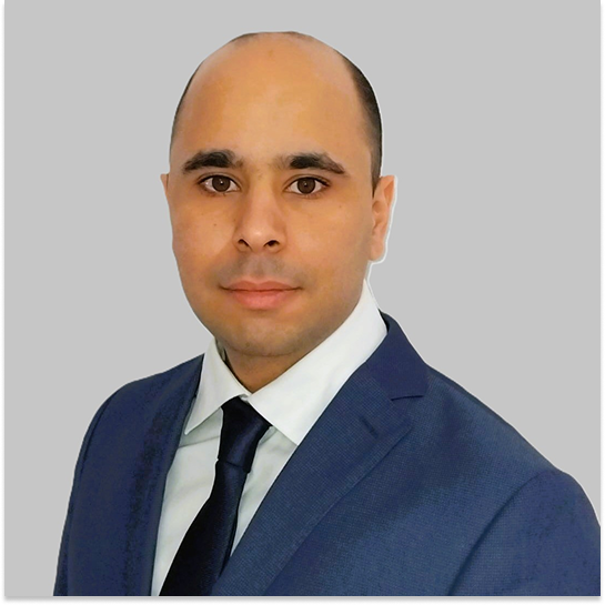 Real Estate Development Consultant
